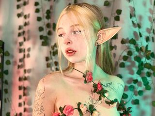 real live webcam HildDryer