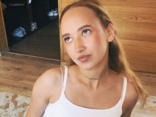 strip show VeniceMidden